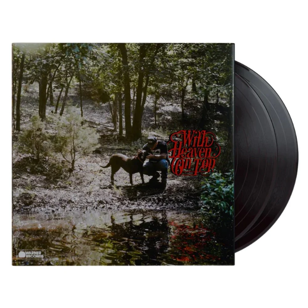 New Release Vinyl Records